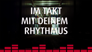 Blick aus einer LKW-Ladefläche in ein Lager mit Paletten und Regalen